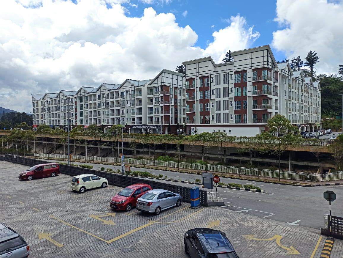 Barrington Square Cameron Highland For Sale THE SHOOT