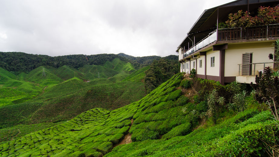 A chalet in Cameron Highlands