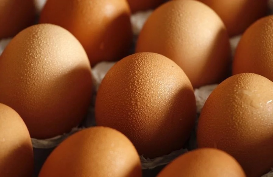 Singapore recalls eggs from Lay Hong Layer Farm Jeram EdgeProp.my