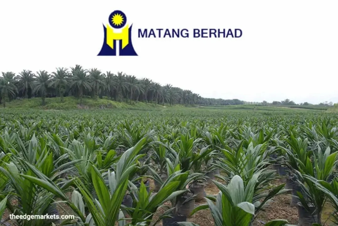 Matang expands durian footprint with RM18.2 mil land acquisition in Tangkak