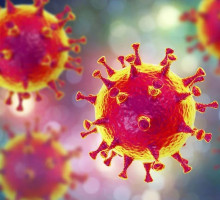 Four new cases reported in both Kampung Baru and Bali clusters