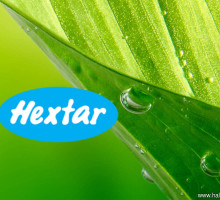 Hextar Global unit to sell Raub durian plantation land for RM13.75m