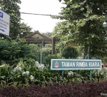 Fed Court to decide April 18 on judicial review sought by TTDI residents over Taman Rimba Kiara project