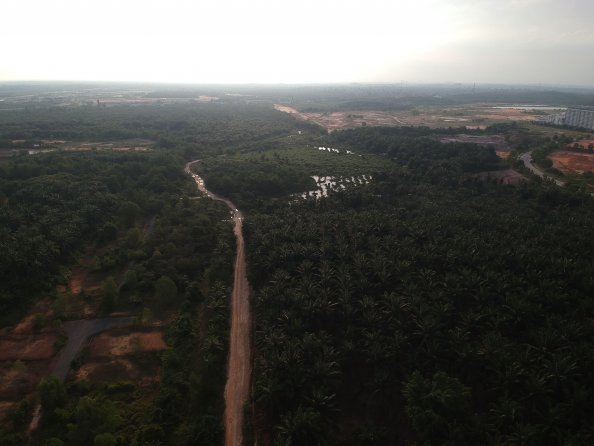 POTENTIAL Agriculture Land 3.24 Acre near CYBERJAYA, Selangor, Cyberjaya