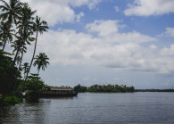 174-freepik.jpg by freepik.com