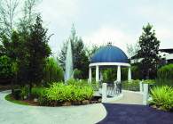 20190219_peo_lepironiagardens_setiaecoglades9_lyy_tep.jpg