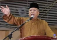 annuarmusa.jpg 
