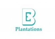 boustedplantations_2.jpg The Edge