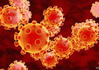 coronavirus_20200304143547_123rf.jpg