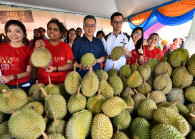 durian.jpg