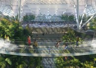 image-7-canopy-bridge--large-.jpg By Jewel Changi Airport for The Edge