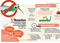 mosquitosgraphic_0.jpg The Edge