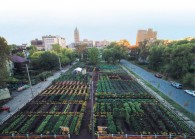 mufi1.jpg By Michigan Urban Farming Initiative for The Edge