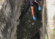 The policeman went beyond his call of duty when he rescued a puppy that fell into a monsoon drain on Thursday. (Photo via Facebook/ Ezam Ramli)