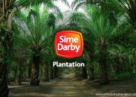 sime-darby-plantation_20180917185102_simedarbyplantationcom_.jpg