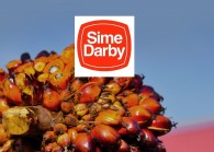 simedarby_39.jpg