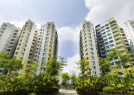 sporehomes_123rf.com_.jpg By 123rf for The Edge