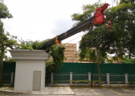 taman_desa_crane_2.jpg