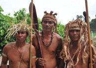 temuan.jpg