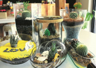 terrarium 1