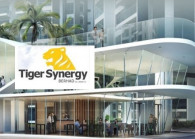 tigersynergy_1.jpg