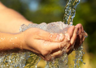 water123rf.jpg By 123RF for The Edge