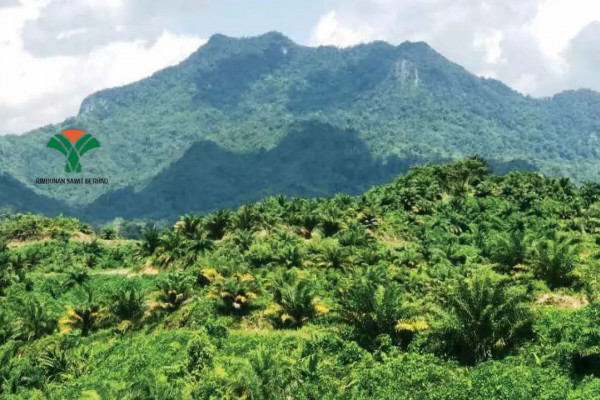 Rimbunan Sawit disposes of 1,504ha Miri land for RM28m to exit loss-making remote estate